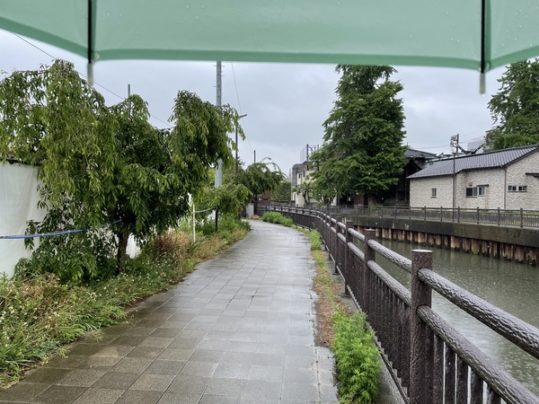 雨降り"